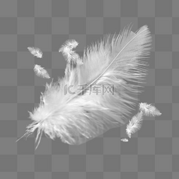 白色羽毛漂浮图片_白色羽毛漂浮元素