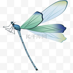 卡通png蜻蜓图片_卡通蜻蜓png素材