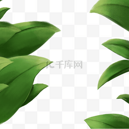 小清新绿色植物边框免抠图