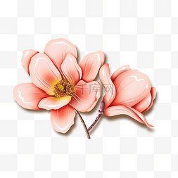 花儿粉色图片_粉红灵动的小花朵