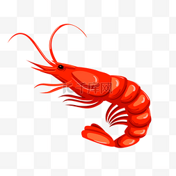清汤海鲜图片_手绘海鲜大虾插画