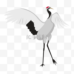 煽动图片_手绘煽动翅膀的鹤插画