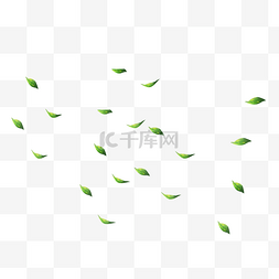 春季树叶纹理图片_绿色植物漂浮的植物树叶元素