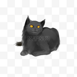 黑色小猫手绘插画