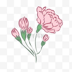 粉色手绘植物花图片_手绘风格浅粉母亲节康乃馨免抠素