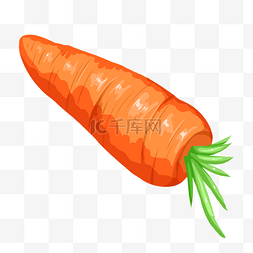 蔬菜胡萝卜插画