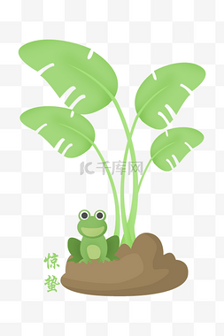 植物青蛙 
