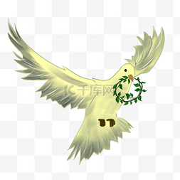和平鸽橄榄枝花环插画