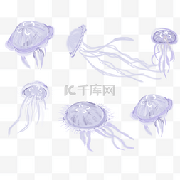 卡通手绘紫色海底动物水母