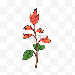 美丽花儿图片_美丽植物花卉一串红