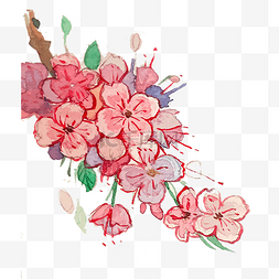 粉色紫阳花绣球花卉唯美PNG