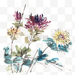 生机勃勃的花园图片_鲜艳的菊花水墨画PNG免抠素材