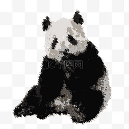 国宝图片_ 国宝大熊猫 