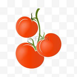 水彩矢量图案图片_创意矢量西红柿装饰图案