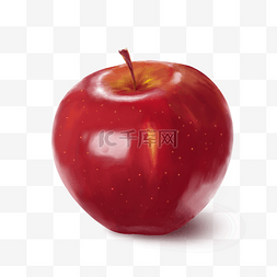 苹果成熟度表图片_苹果手绘写实植物红色平安夜