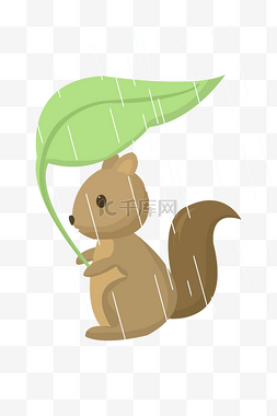 遮雨树叶图片_拿叶子遮雨的松鼠插画