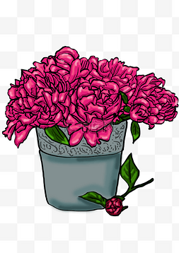 手绘粉红色的花朵卡通