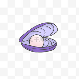 紫色珍珠扇贝PNG