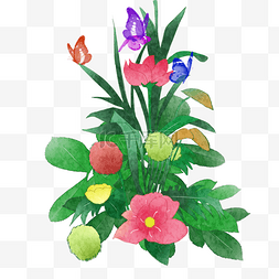 卡通手绘植物插画猫草