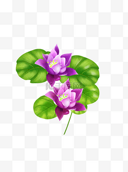 手绘绿叶花草紫色花朵设计元素