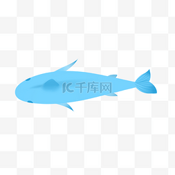 鱼类潜水蓝色
