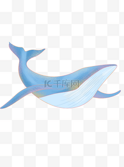 卡通手绘蓝色海豚元素