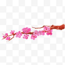 手绘水彩花卉植物图片_水彩粉色桃花花枝插画