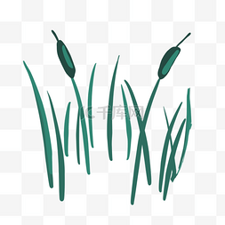 植物草根图片_墨绿色的卡通绿色植物