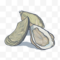 卡通海鲜贝壳图片_手绘海鲜贝壳插画