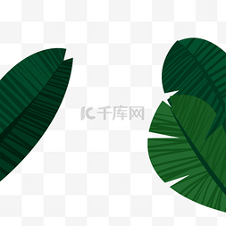 手绘热带植物绿叶