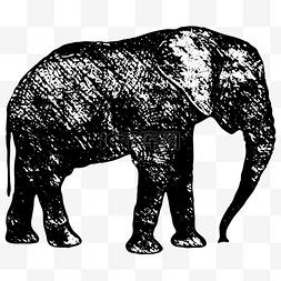 大象形象剪贴画免费下载