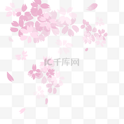 樱花飘落素材图片_浪漫粉红樱花装饰图案