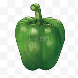 食材手绘蔬菜图片_食物食材青椒插画