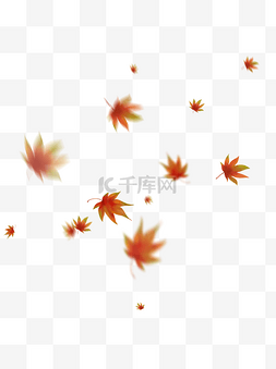绿飘落叶图片_漂浮的枫叶秋天飘落的红枫叶手绘