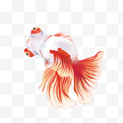 水墨插图装饰图片_手绘水彩金鱼装饰图案素材