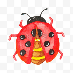 瓢虫可爱卡通图片_红色的七星瓢虫插画