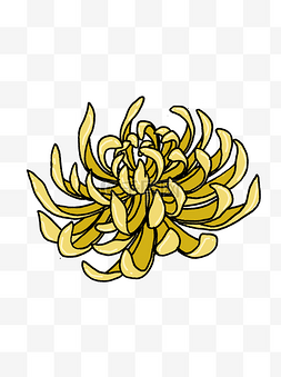 手绘花卉菊花黄色植物水彩元素