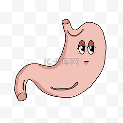 手绘人体器官胃插画