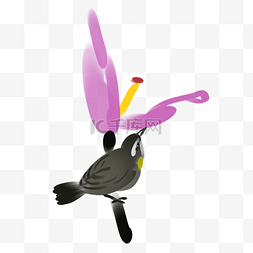 黄色鸟儿图片_黑色鸟儿与紫色花儿