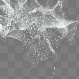 蜘蛛网网子蜘蛛网元素