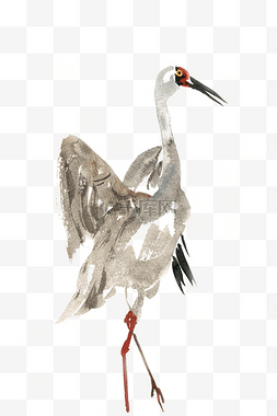 手绘的丹顶鹤图片_张翅的丹顶鹤水彩画PNG免抠素材