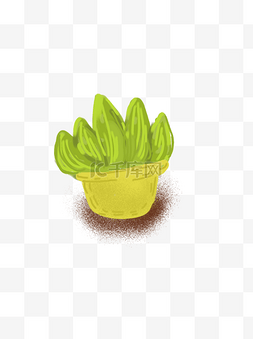彩绘小清新植物图片_小清新彩绘多肉植物插画可商用元