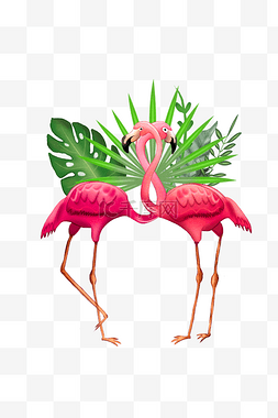 粉红色的火烈鸟和热带植物插画