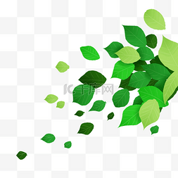 小清新背景绿色图片_春天飘落的绿色叶子