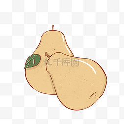 梨子植物鸭梨