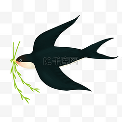 手绘黑色翅膀图片_立春黑色的燕子插画春天