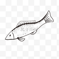 鱼黑白线稿手绘图片_秋刀鱼手绘黑白素材