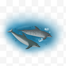 手绘海豚插画图片_世界海洋日手绘两张海豚
