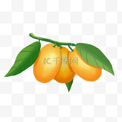 小橘子卡通图片_手绘橘子png素材