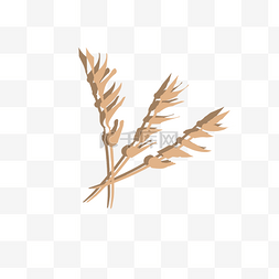 小麦嫩芽图片_卡通手绘小麦植物设计